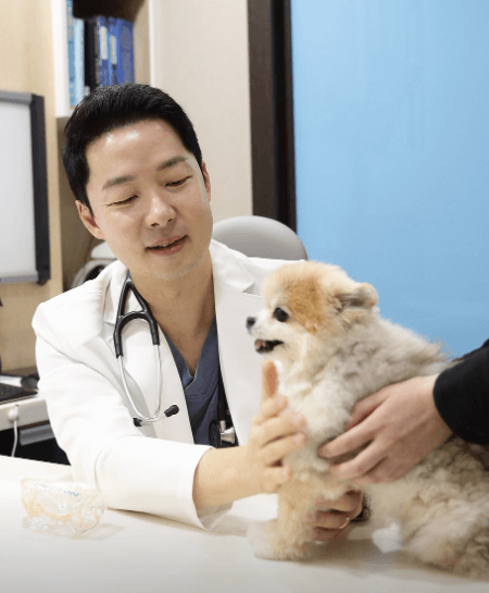 대구 북구 동물병원