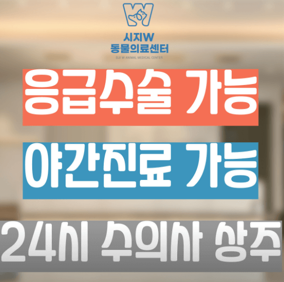 대구 수성구 동물병원