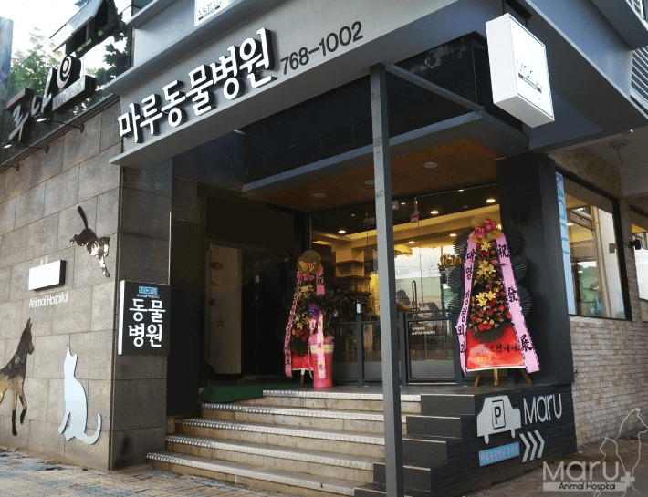 대구 수성구 동물병원