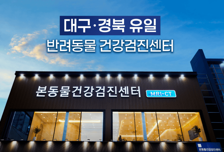 대구 달서구 동물병원