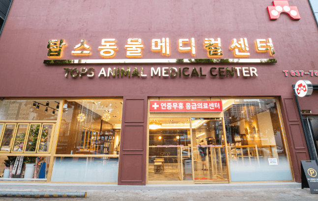 대구 달서구 동물병원