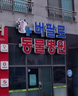 대구 군위군 동물병원