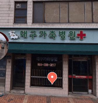 대구 군위군 동물병원