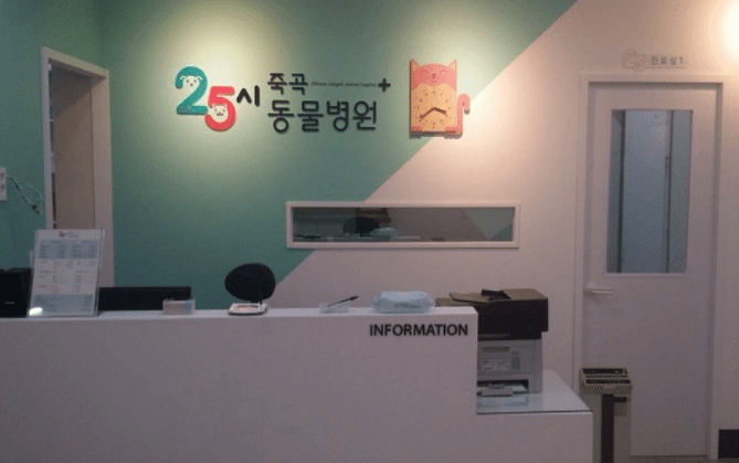 대구 달성군 동물병원