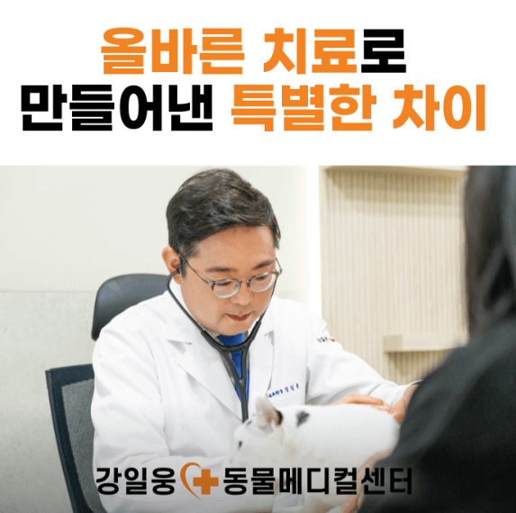 울산 남구 동물병원