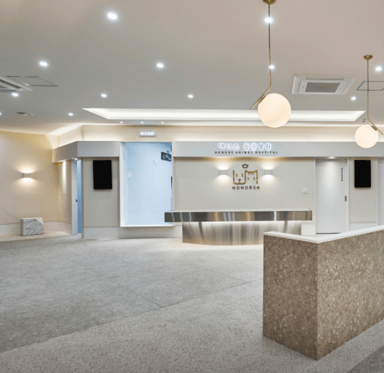 울산 남구 동물병원