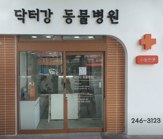 울산 중구 동물병원