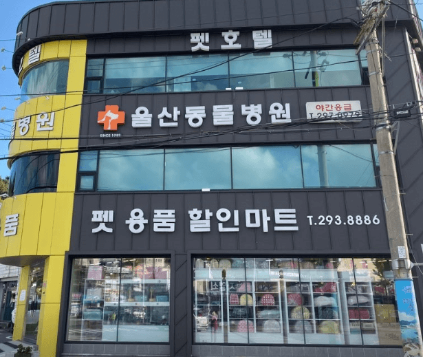 울산 중구 동물병원