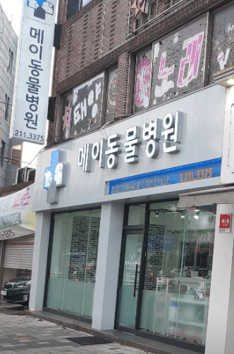 울산 중구 동물병원