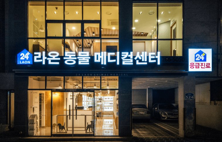 울산 중구 동물병원