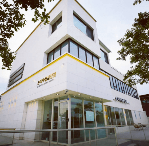 울산 동구 동물병원