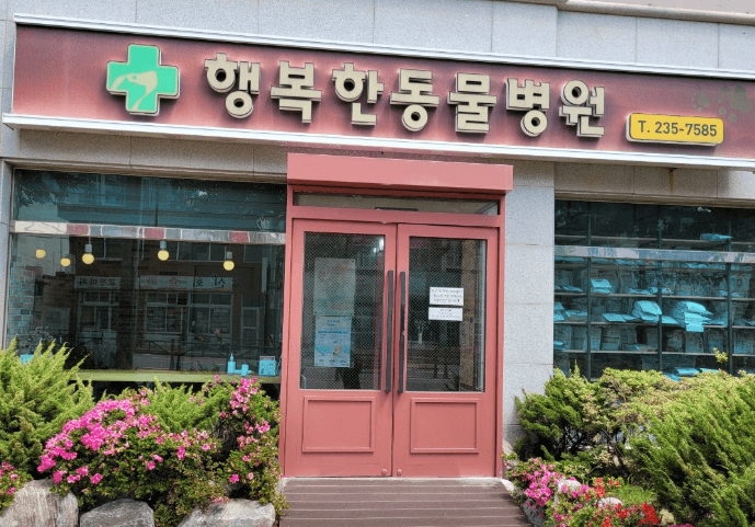 울산 동구 동물병원