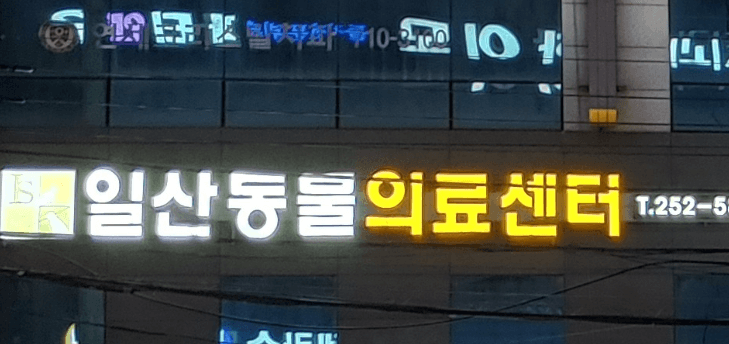 울산 동구 동물병원