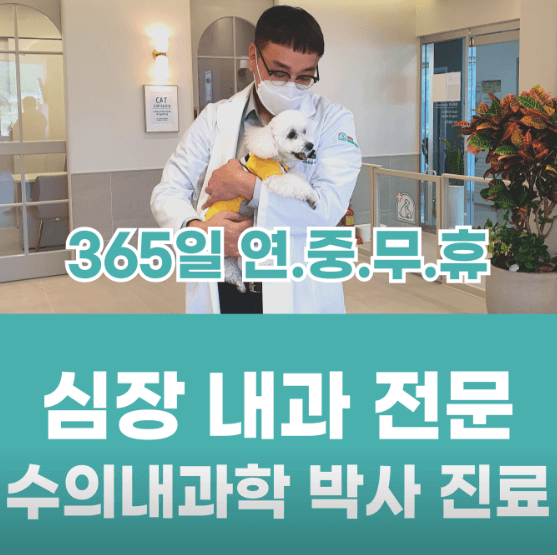 울산 북구 동물병원