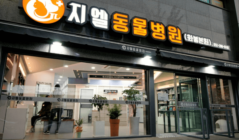 울산 북구 동물병원