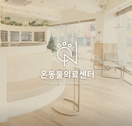 부산진구 동물병원