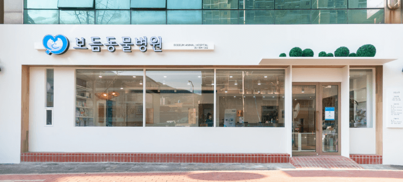 부산진구 동물병원