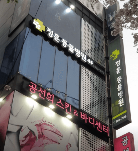 부산진구 동물병원
