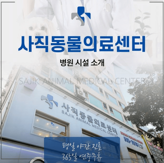 부산 동래구 동물병원