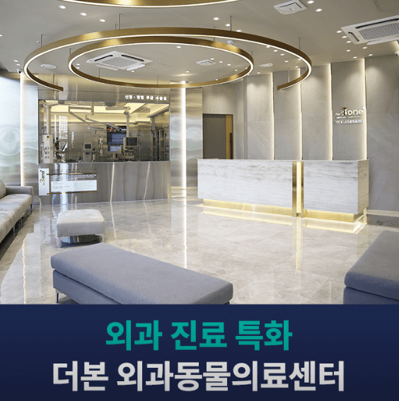 부산 남구 동물병원