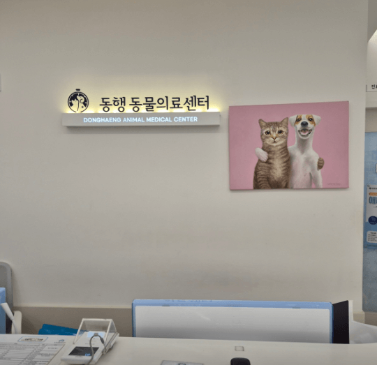 부산 북구 동물병원