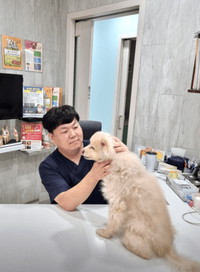 부산 북구 동물병원