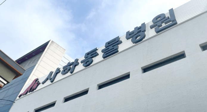 부산 사하구 동물병원