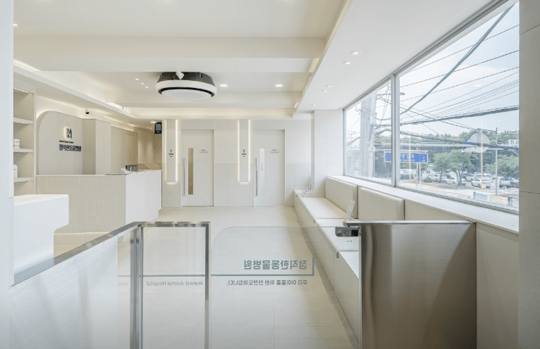 부산 사하구 동물병원