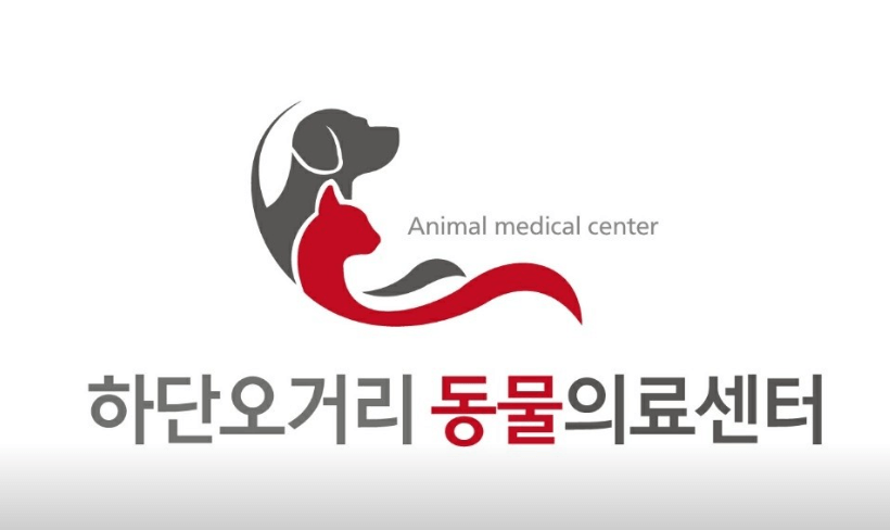 부산 사하구 동물병원