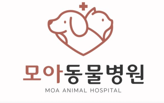 부산 사하구 동물병원