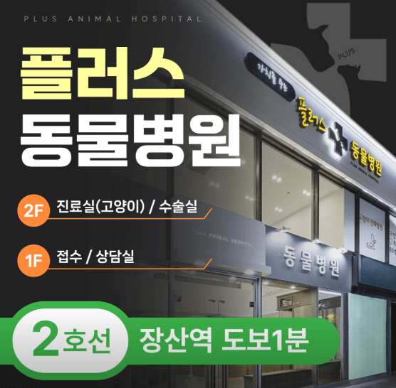 부산 해운대구 동물병원