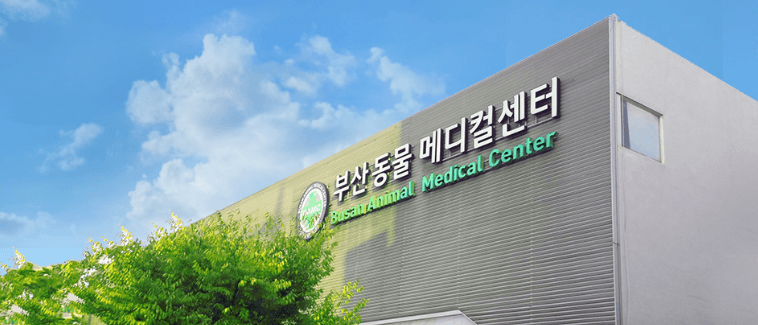 부산 연제구 동물병원