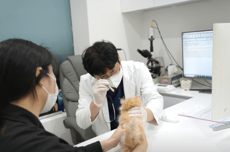 부산 연제구 동물병원