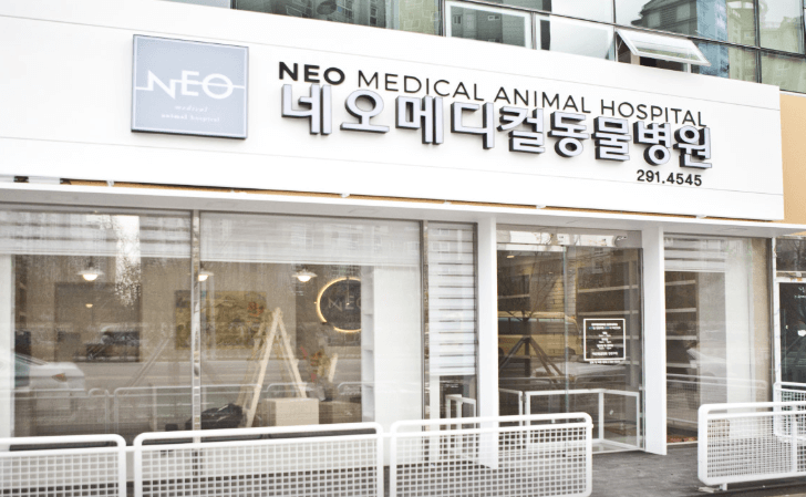 부산 강서구 동물병원