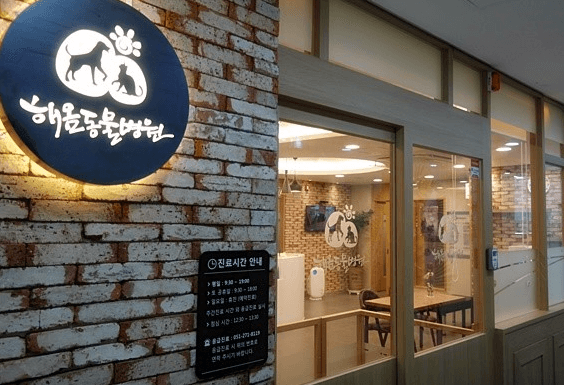 부산 강서구 동물병원
