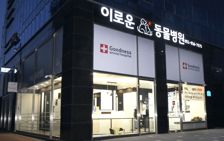부산 강서구 동물병원