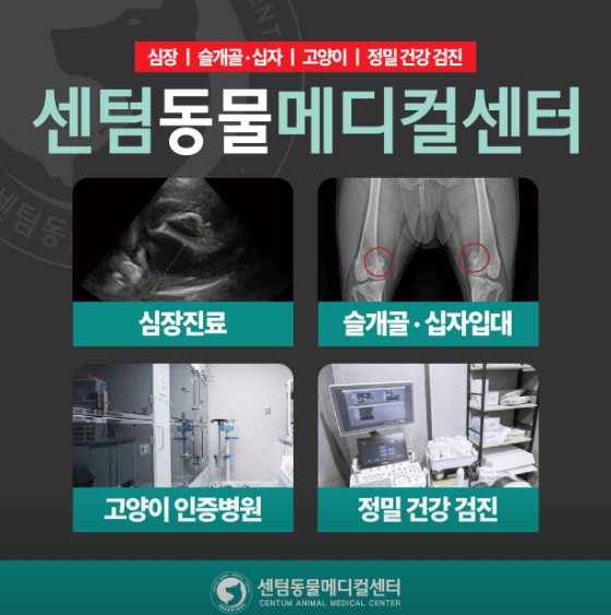 부산 수영구 동물병원