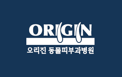 부산 수영구 동물병원