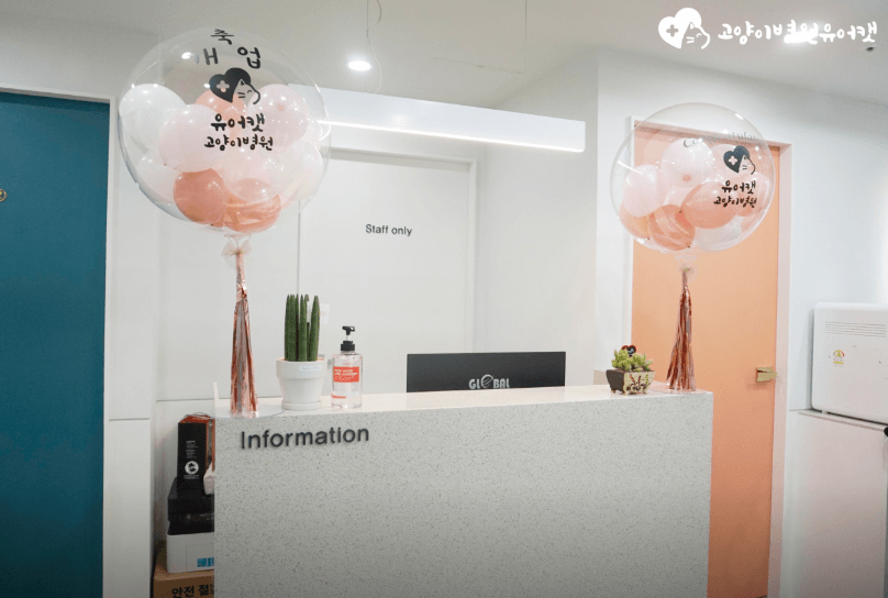 부산 수영구 동물병원