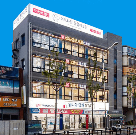 부산 수영구 동물병원