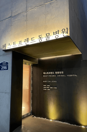 부산 수영구 동물병원