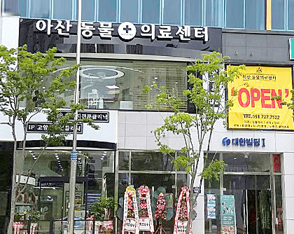 부산 기장군 동물병원