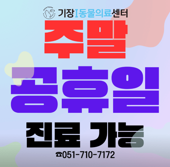 부산 기장군 동물병원
