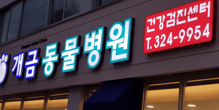 부산 사상구 동물병원