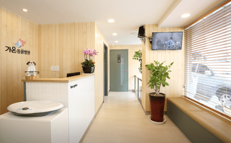 부산 서구 동물병원