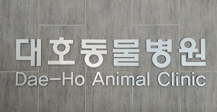부산 서구 동물병원