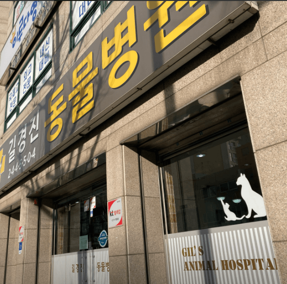 부산 서구 동물병원