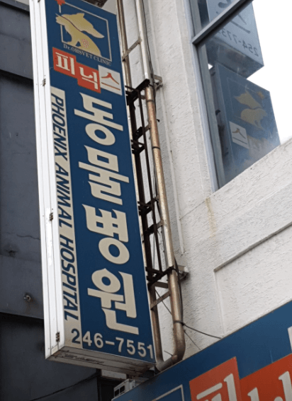 부산 중구 동물병원