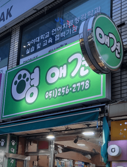 부산 중구 동물병원