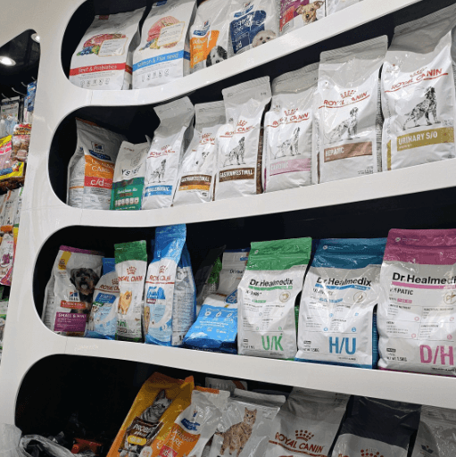 부산 중구 동물병원